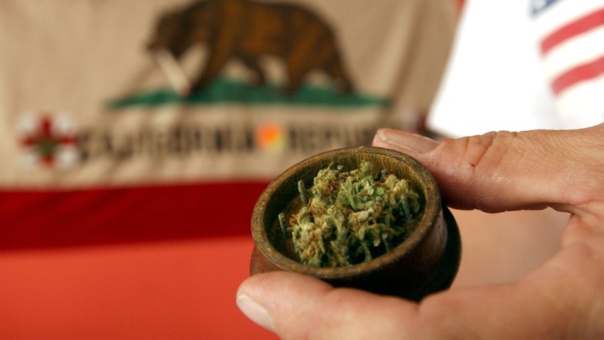 408339_06_cannabis