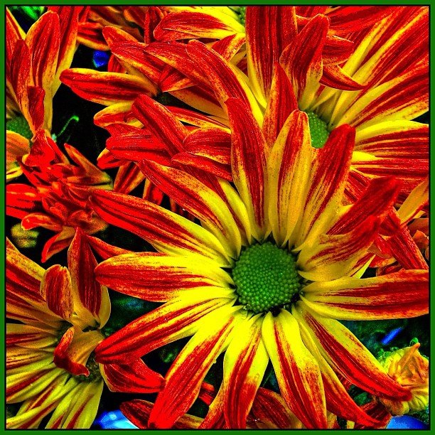 Fall Home and Garden Show Heads This Weekend to Del Mar Fairgrounds - Vimarsana News