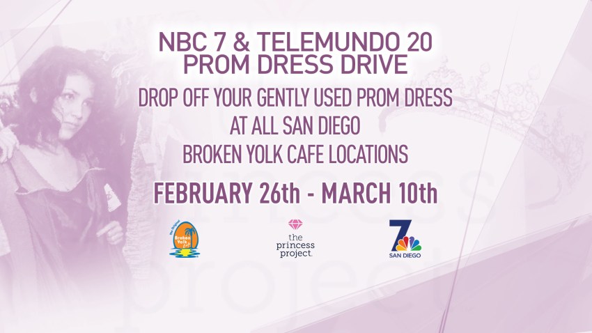 20072580 FSFin Princess Project Prom Dress Drive