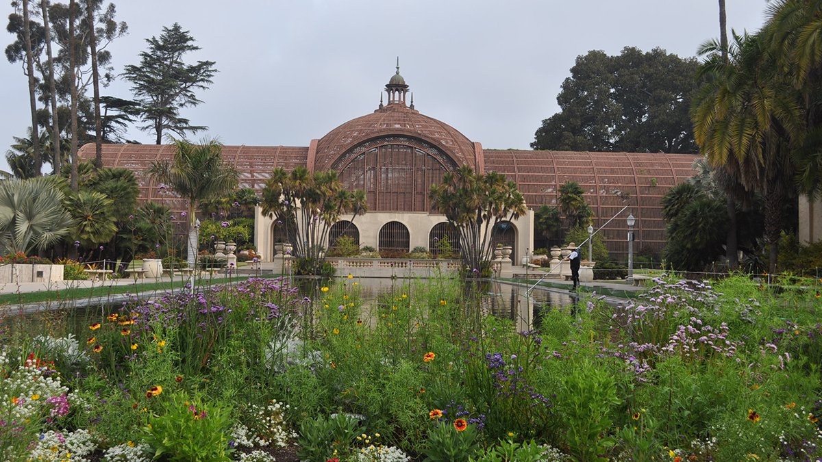 Things to Do at Balboa Park - NBC 7 San Diego