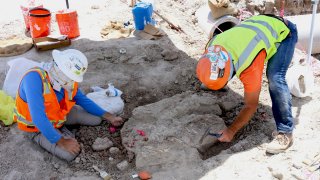 Paleontologists excavate fossils found during construction of SR-11/Otay Mesa East.