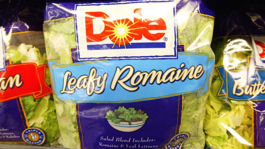 2096850JS002_Salad