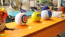 [UGCCHI-CJ-kids at play]FW: good CUBS DECORATED PUMPKINS FROM SHRINERS HOPSITAL STAFF FOR CHILDREN