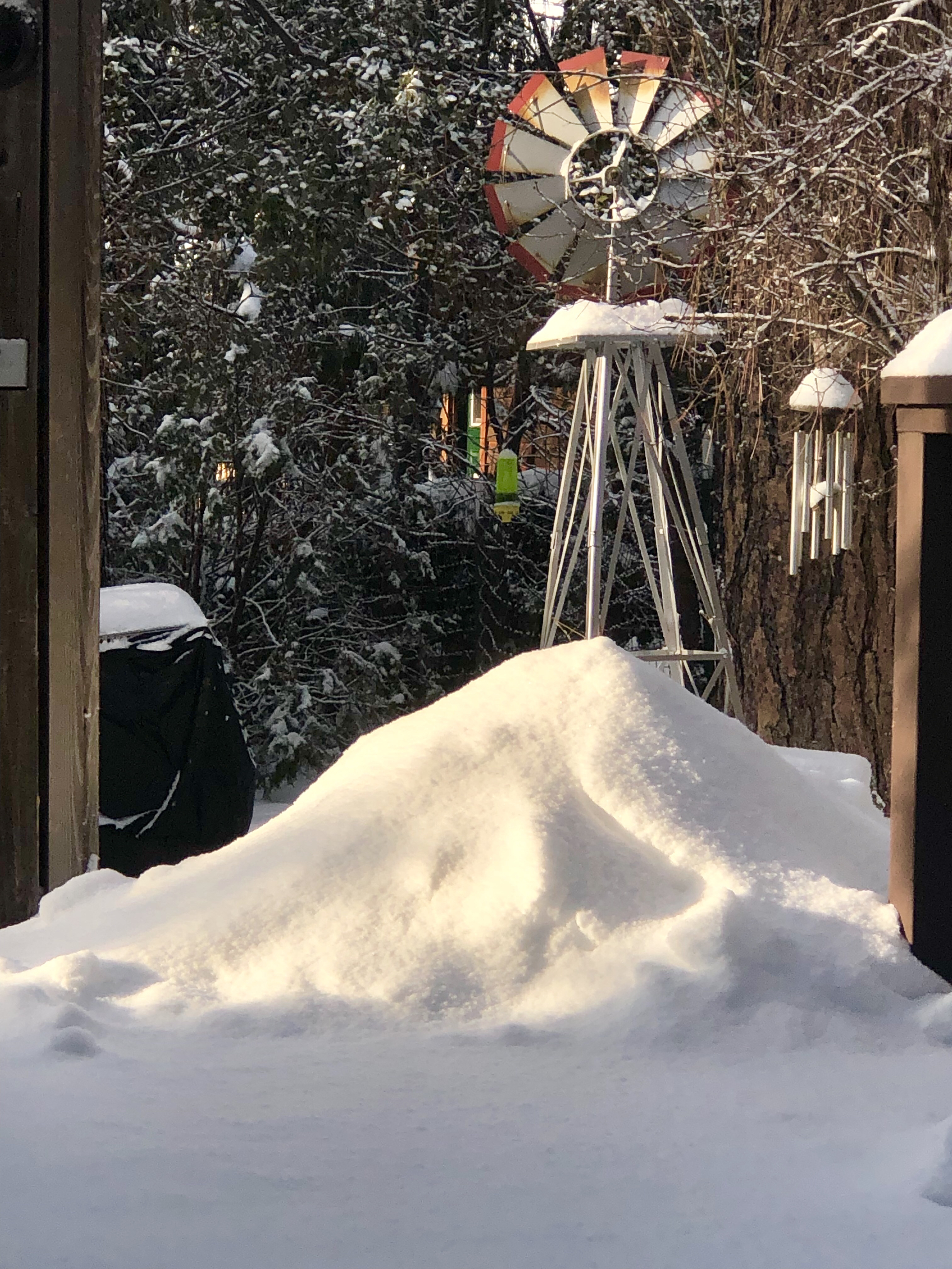 Snow in Idyllwild. 