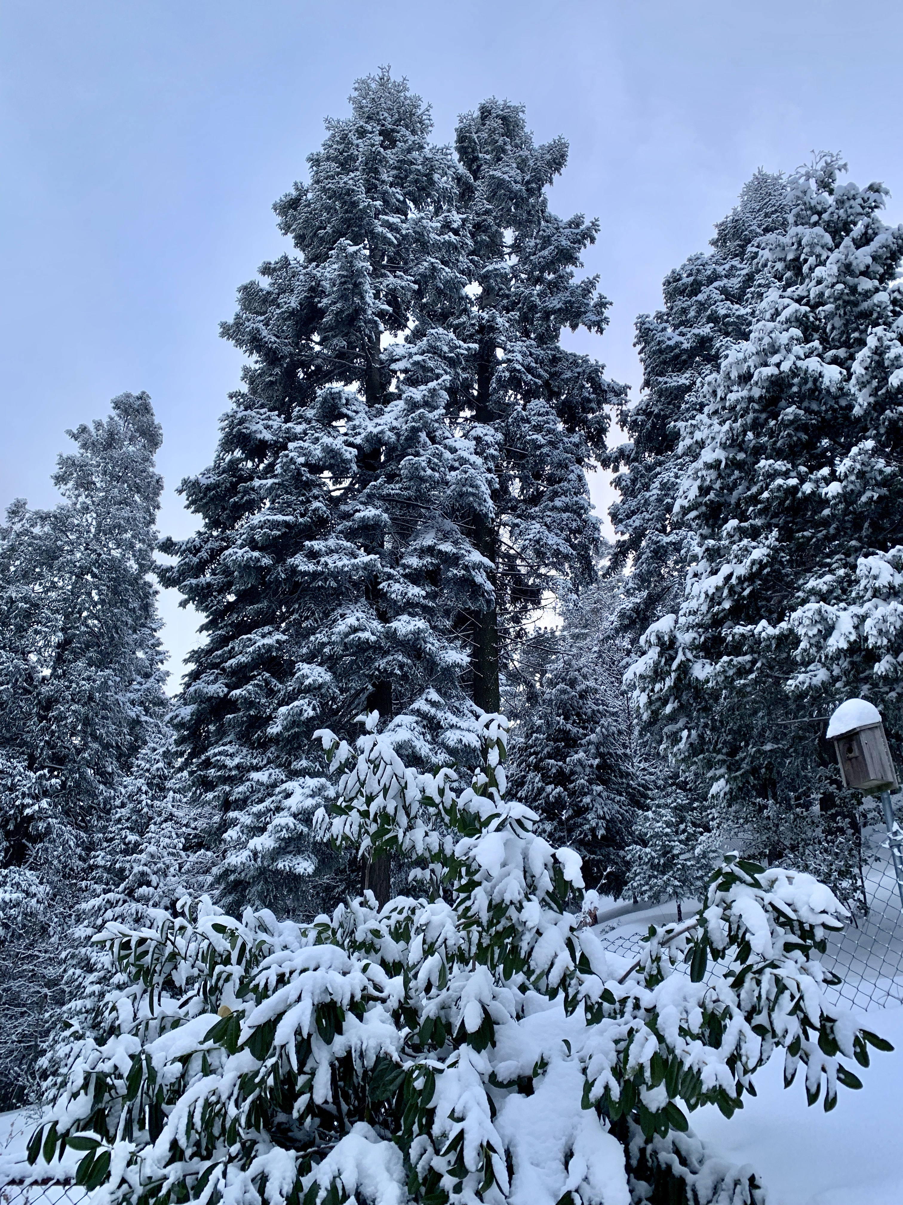 A view of Lake Arrowhead in February 2019.