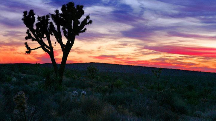 51551648CA002_joshua