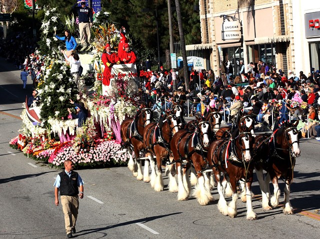 010110 Rose Parade Busch