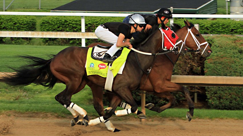 Kentucky Derby Horse Racing