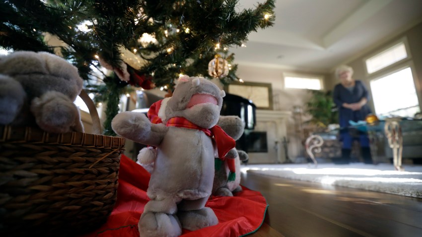 Hippo For Christmas Song