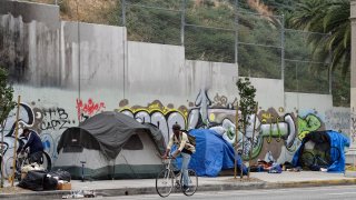 Los Angeles Homeless