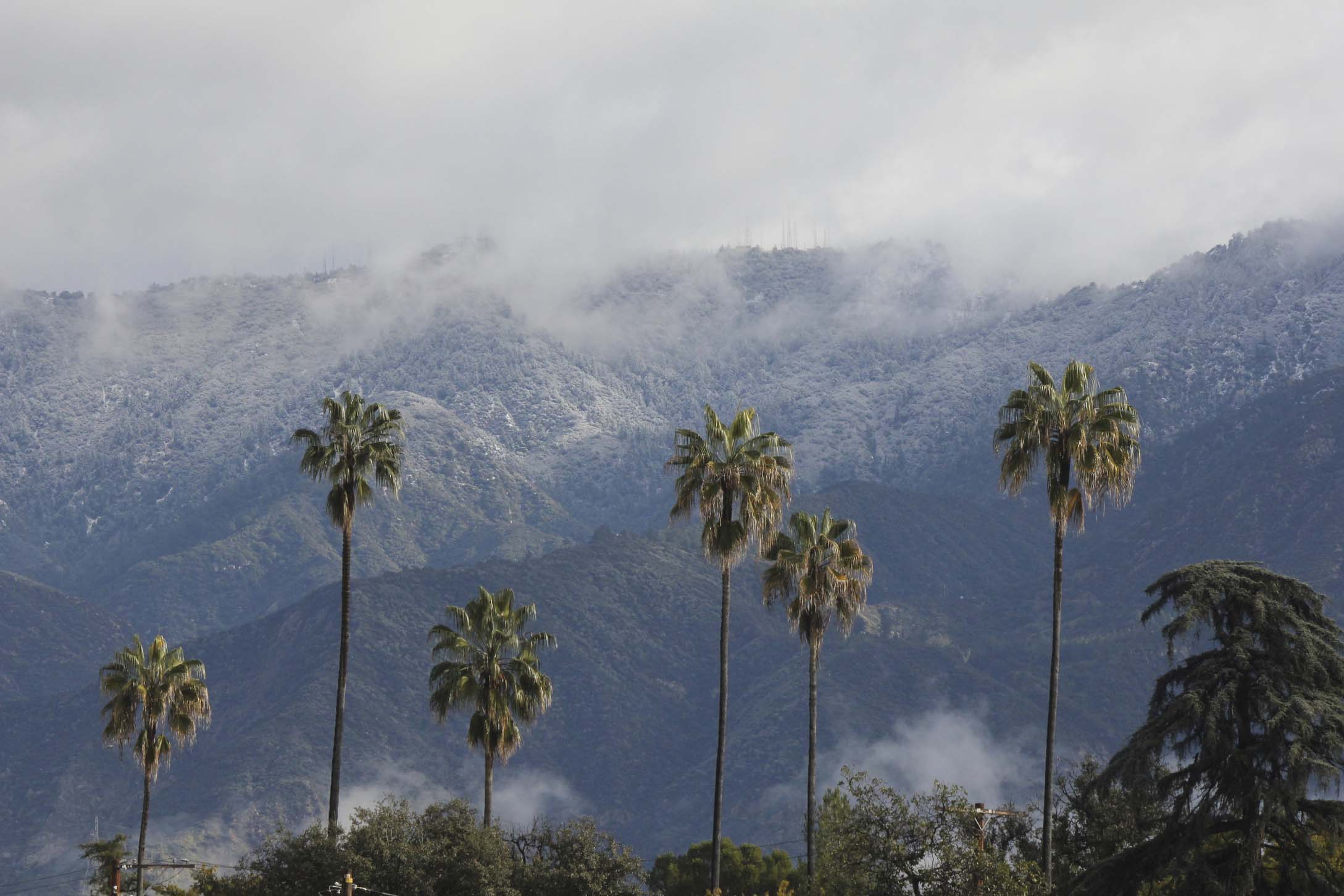 Fresh snow coats Mount Wilson above Pasadena, Calif., on Saturday, Feb. 9, 2019, after the latest in a series of storms that have given California a very wet winter. The National Weather Service said rainfall in January for downtown Los Angeles was 191 percent of normal. (AP Photo/John Antczak)