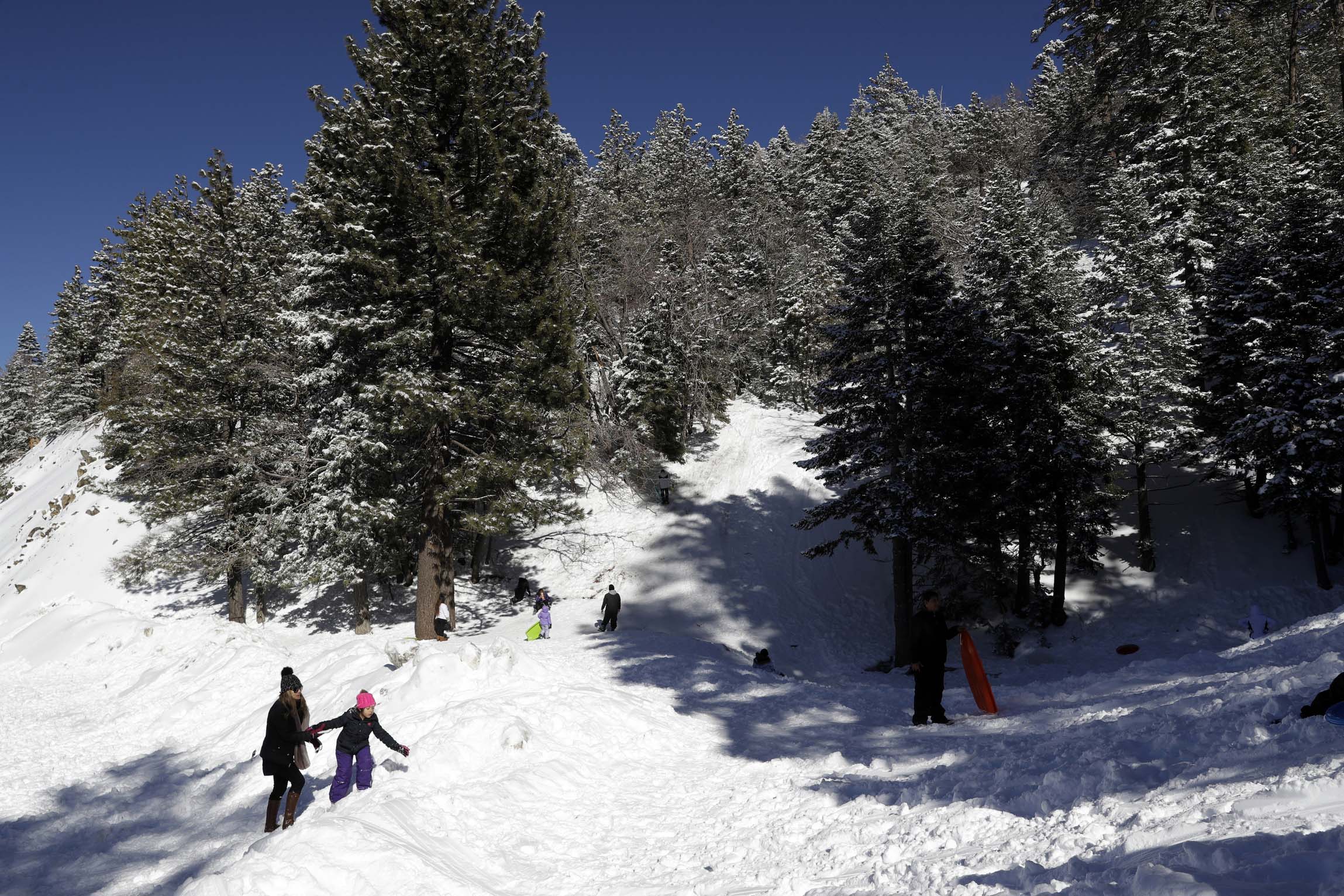 Visitors gather at a sledding hill in the aftermath of a snow storm Friday, Feb. 22, 2019, in Wrightwood, Calif. A winter storm swept through the Southwest and brought a rare snowfall to the Las Vegas Strip and the mountains above Malibu in California. (AP Photo/Marcio Jose Sanchez)