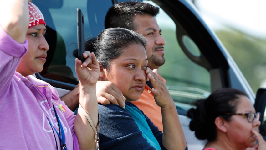 Immigration Food Plant Raids