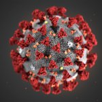 This illustration provided by the Centers for Disease Control and Prevention (CDC) in January 2020 shows the 2019 Novel Coronavirus (2019-nCoV). Health authorities are preparing for a possible pandemic as they work to contain a respiratory illness in China that's caused by a new virus. Governments are working to contain the virus by limiting travel, isolating sick people and keeping travelers returning from the affected region under quarantine to watch for symptoms.
