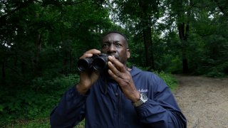 Keith Russell, program manager of urban conservation at Audubon Pennsylvania, lowers his binoculars while conducting a breeding bird census, at Wissahickon Valley Park Friday, June 5, 2020 in Philadelphia.