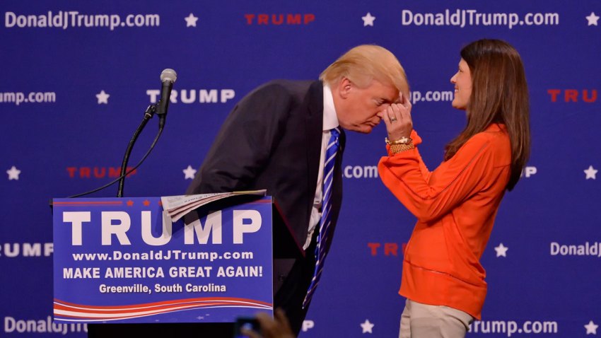 GOP 2016 Trump Hair