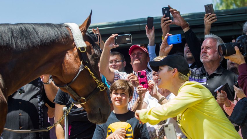 Triple Crown Fever Horse Racing