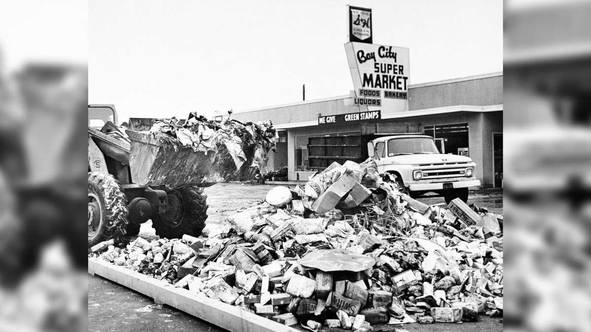 Tsunami in san diego yesterday
