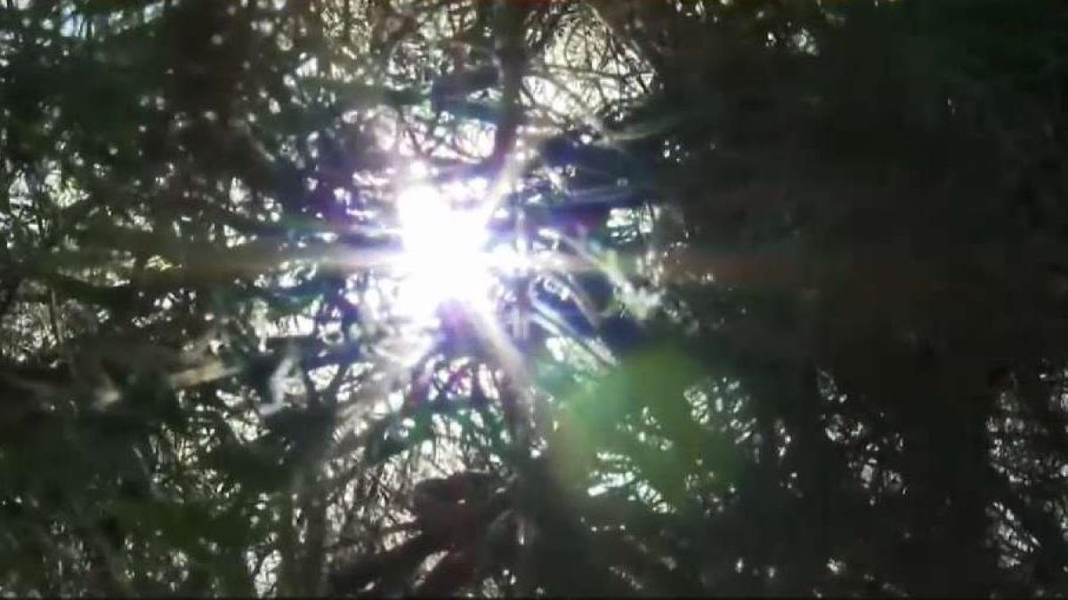 San Diego County weather: Heat wave prompts excessive heat warning ...