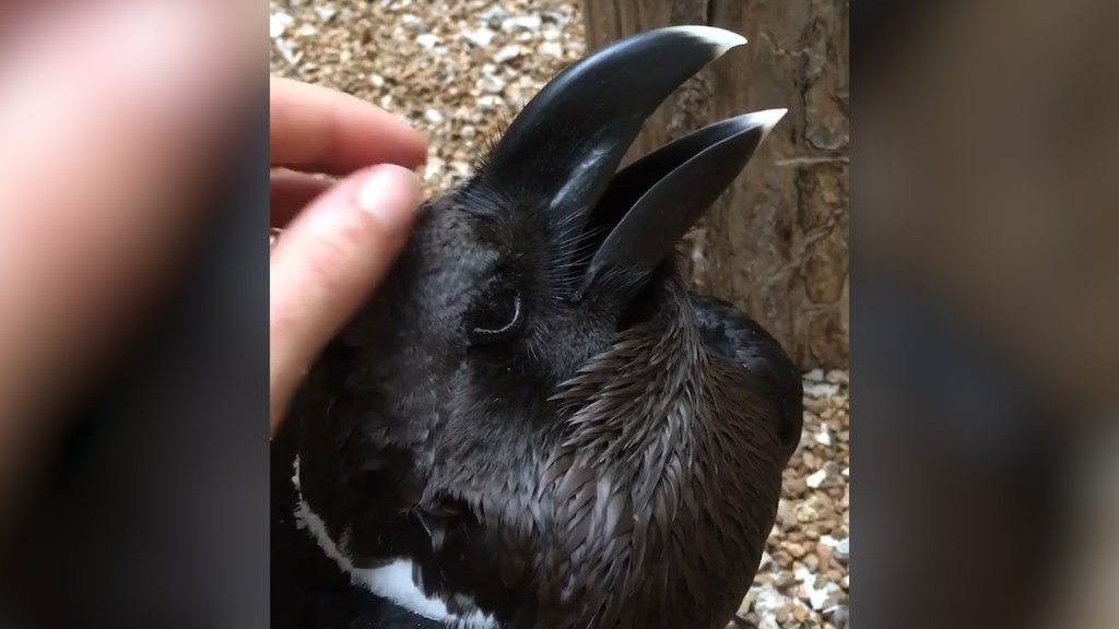 Https Www Nbcsandiego Com Local Am Web Wx 083019 Sheena San Diego 127629 Https Media Nbcsandiego Com 2019 09 Nbc 3x 1 Png Fit 1024 2c576 Sheena Parveen S Morning Forecast For Friday August 30 2019 Sheena Parveen S Morning