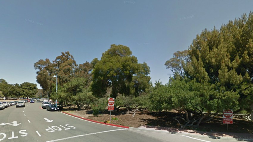 Balboa-Park-Trail-0114