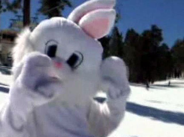 Big-Bear-Bunny