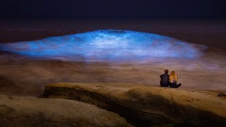 Bioluminescence in La Jolla