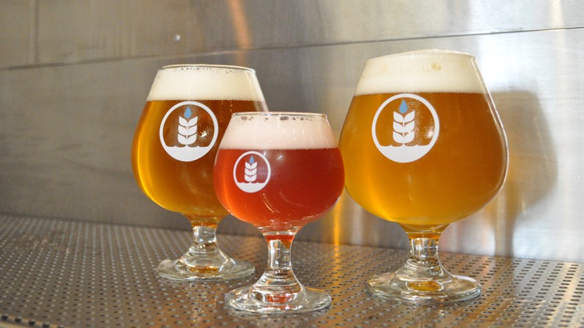 Eater San Diego Pure Project Brewing Brings 40 Tap Tasting