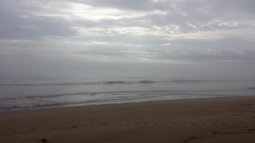 Cary J Casse Plum Island MA rain
