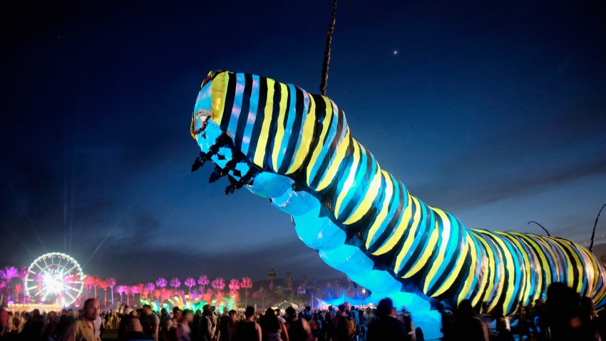 Coachella Art 2015 (7)