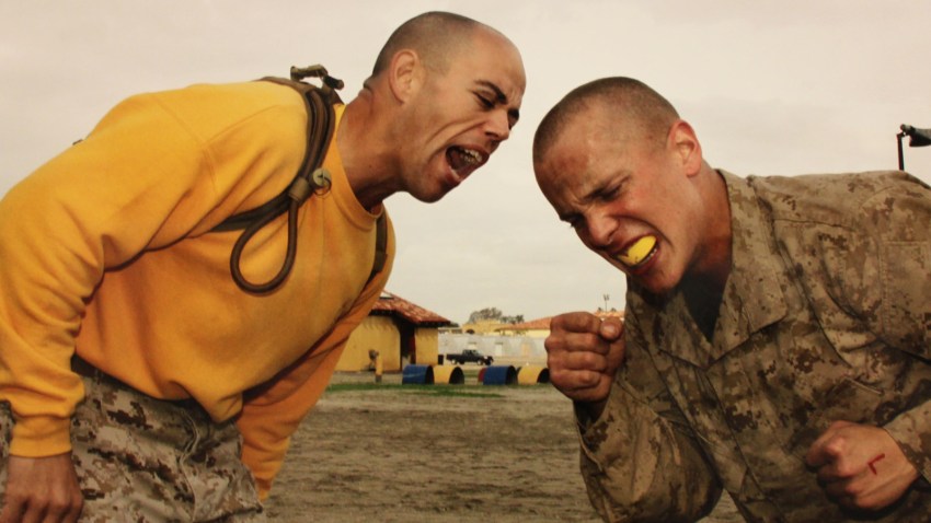 Combat Skills Training