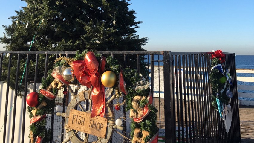 Crystal-Pier-Christmas-Tree-Garske-1