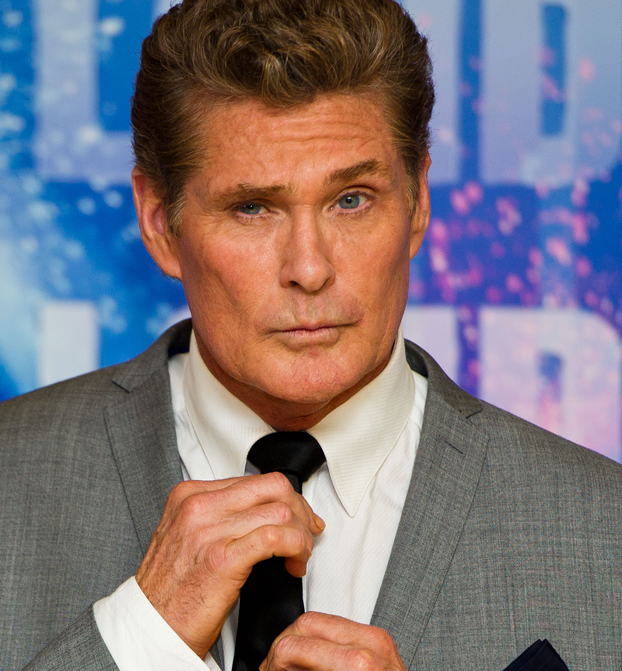 The Hoff to Hassle �Sons of Anarchy�