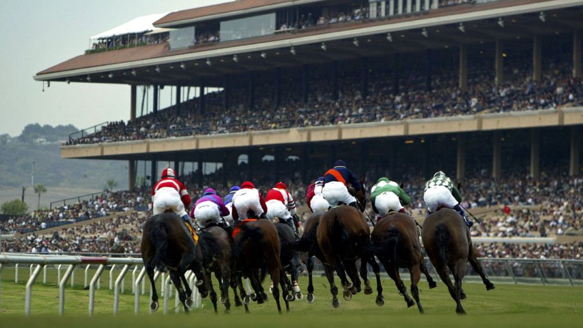 Horses compete for the Del Mar racing season.