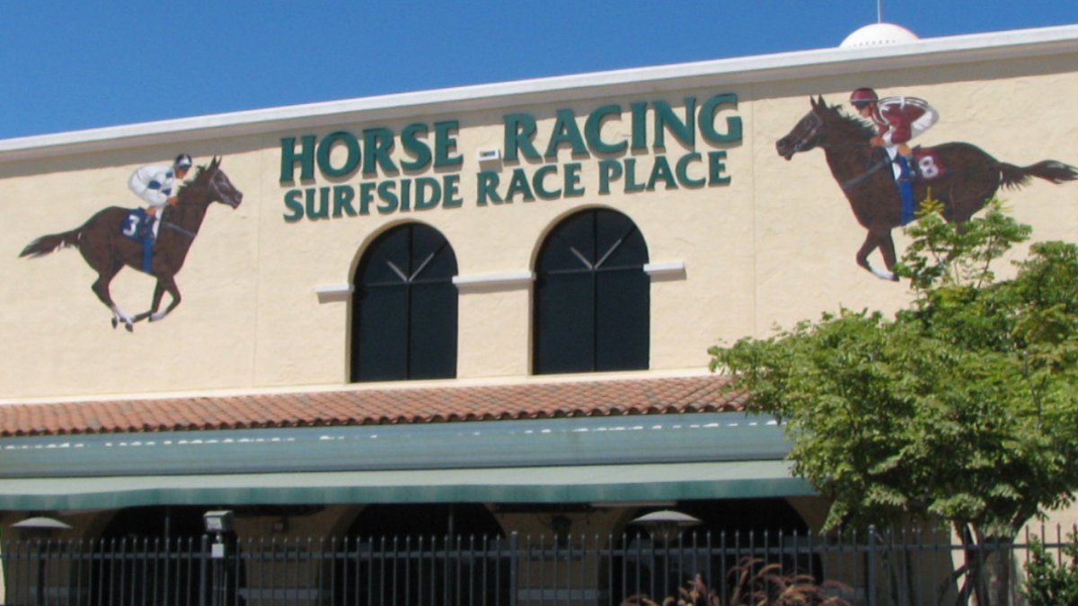 Horse collapses and dies at Del Mar, second equine death in three days NBC 7 San Diego
