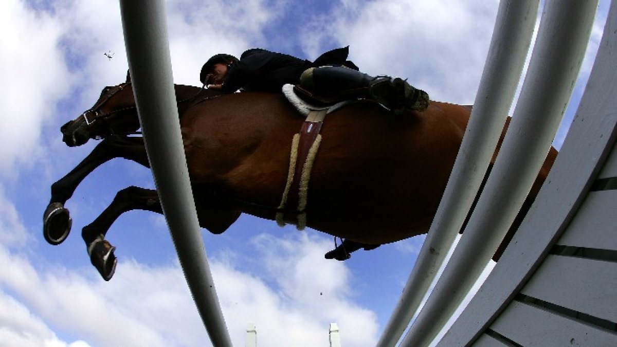 Third horse dies at Del Mar Racetrack in 2023 summer season - Vimarsana News