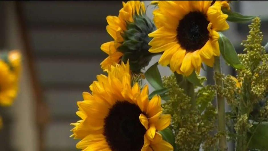 Https Www Nbcsandiego Com Video Weather Sheena Parveens Morning Forecast For March 31 2020 2296568 Https Media Nbcsandiego Com 2019 09 Sheena Parveen S Morning Forecast For March 31 2020 Jpg Fit 1024 2c576 Sheena Parveen S