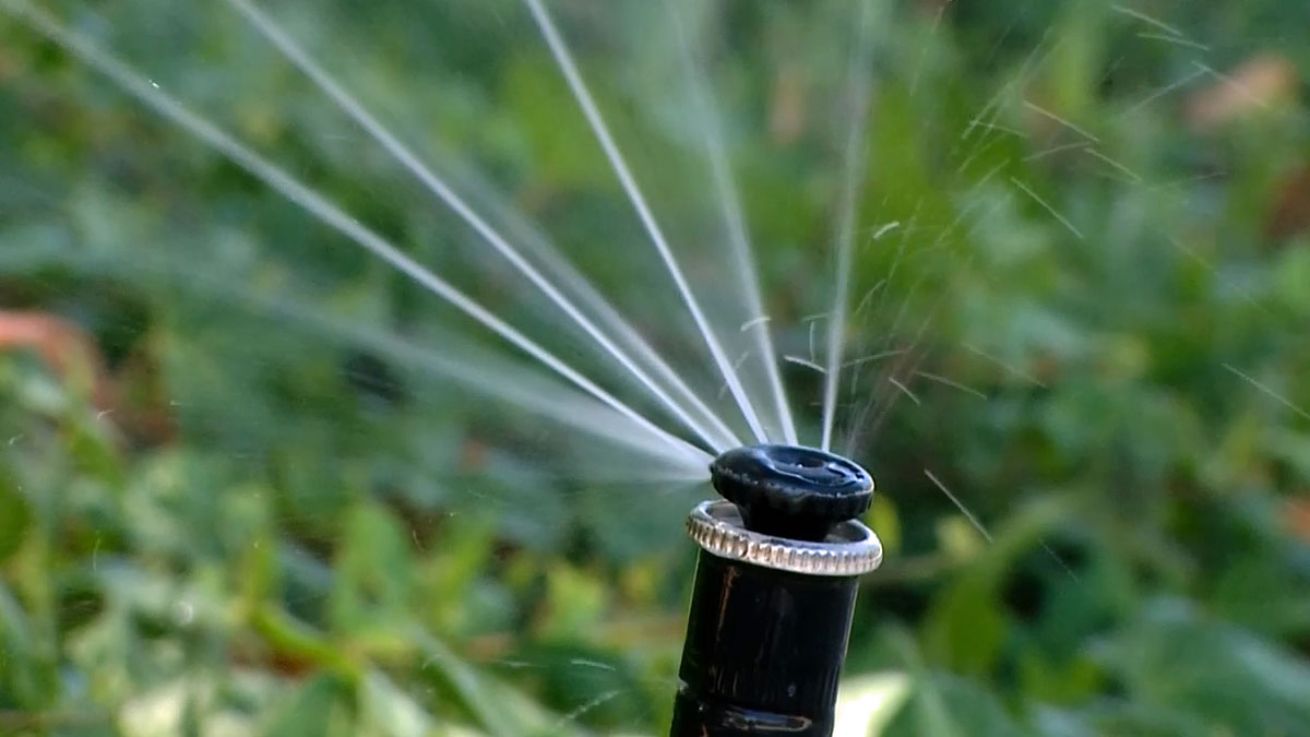 City of San Diego Begins New Water Use Restrictions – NBC 7 San Diego