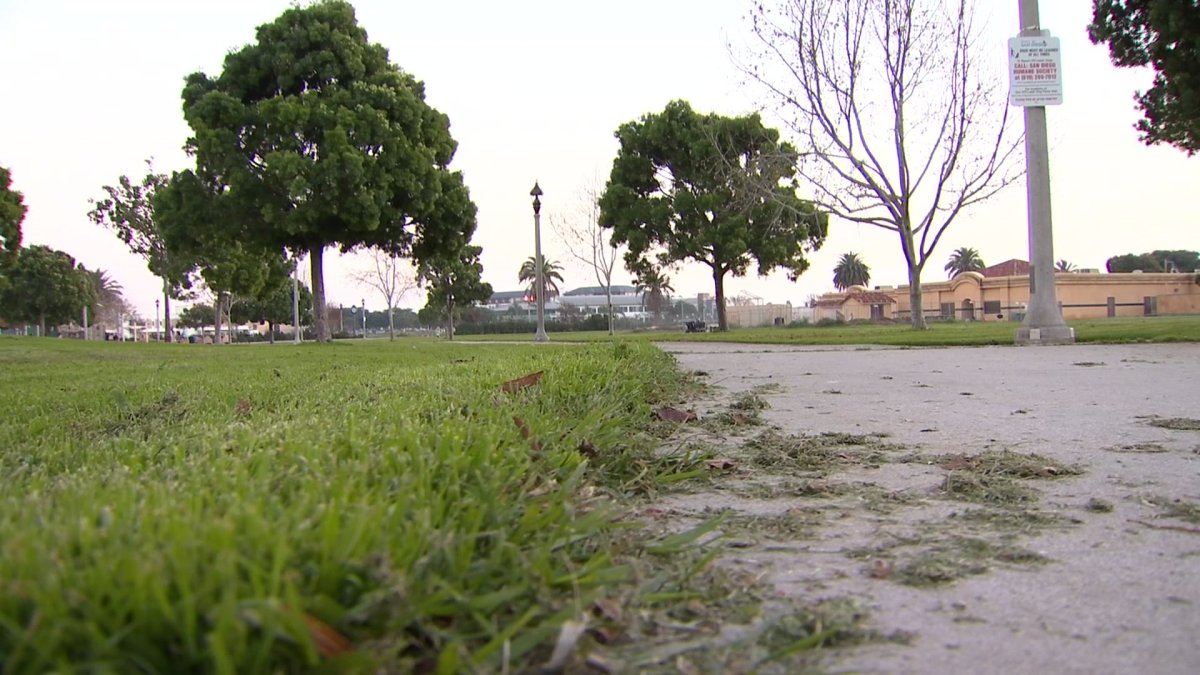 Mother Who Found Needle in Park Frustrated With City’s Slow Response