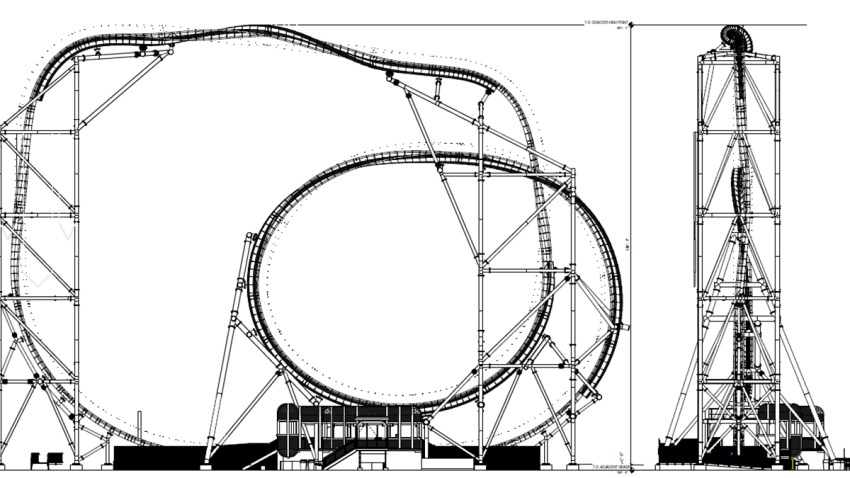 Electric-Eel-SeaWorld-San-Diego