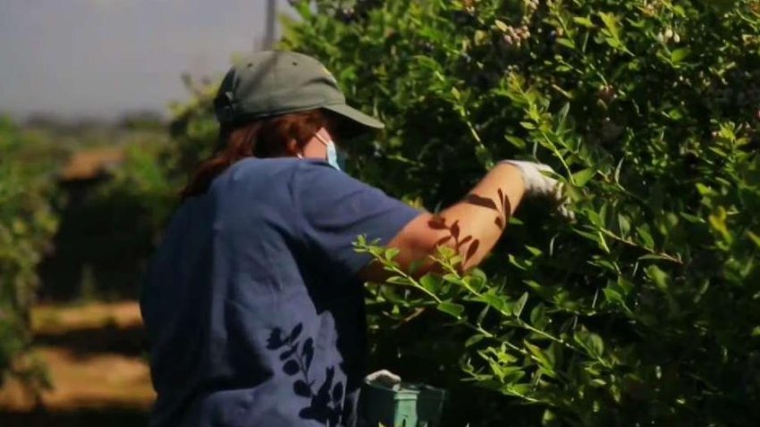Extraordinary San Diegans: There's Enough Food for Everyone