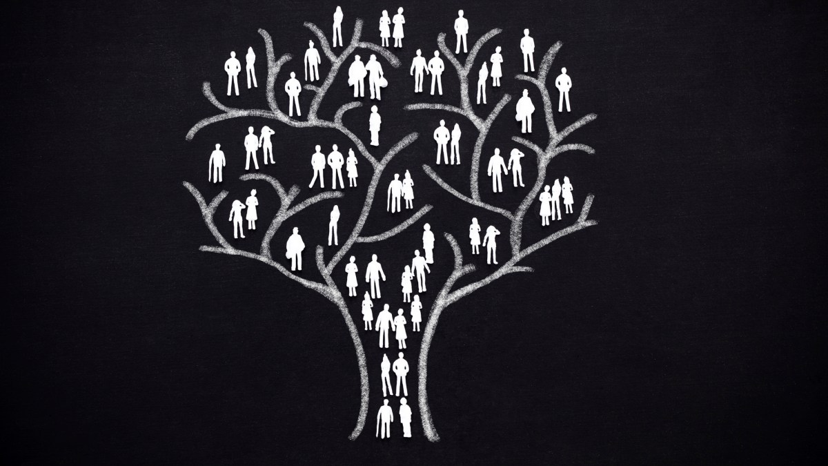 Genealogy, Family History And Stories