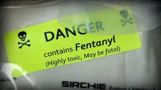 Fentanyl file