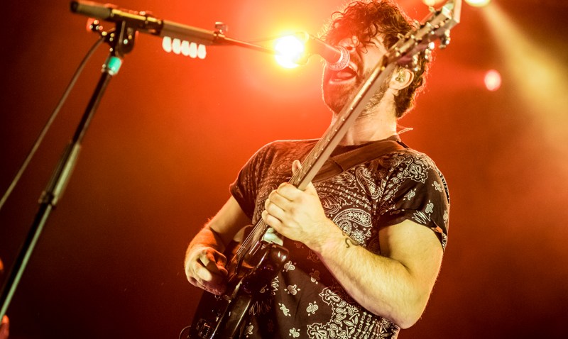 Foals Michel Dussack (1)
