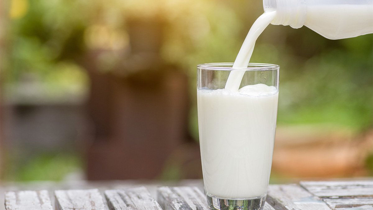 12 salmonella cases reported in San Diego County linked to raw milk – NBC 7 San Diego - Vimarsana News
