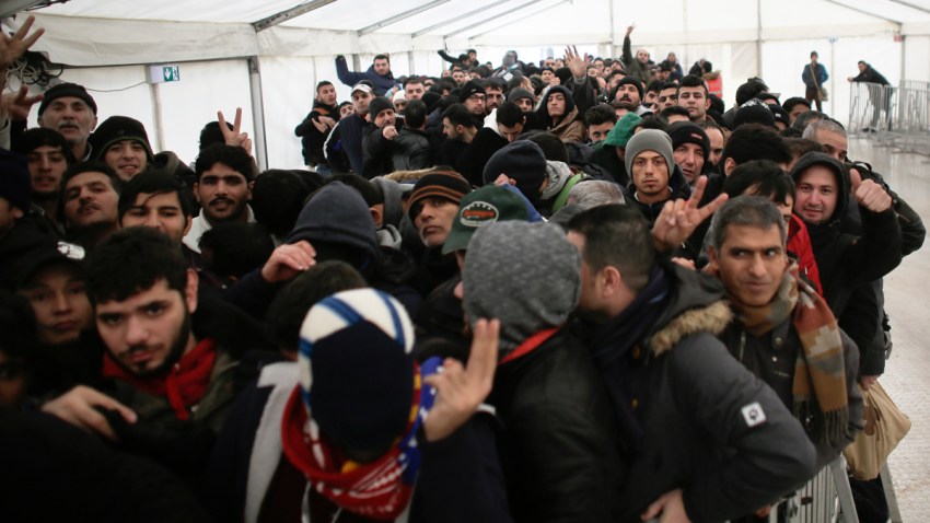 Germany Migrants