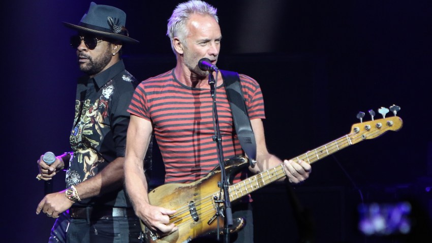 775228657JP058_Sting_Shaggy
