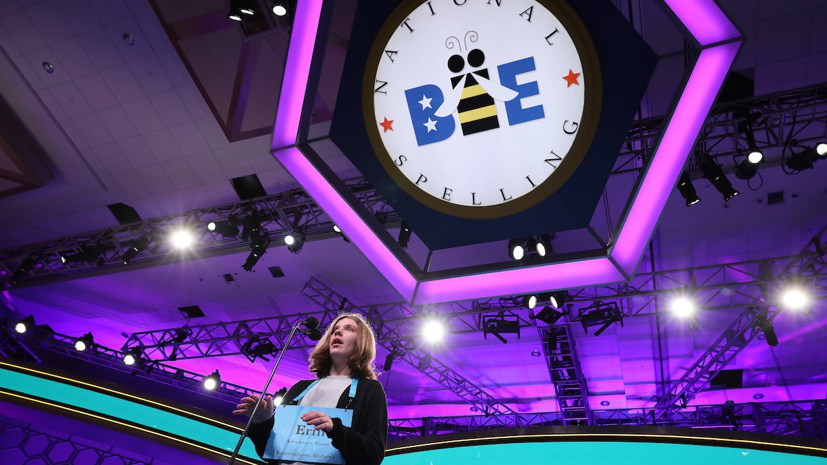Your Complete Guide to the Scripps National Spelling Bee NBC 7 San Diego