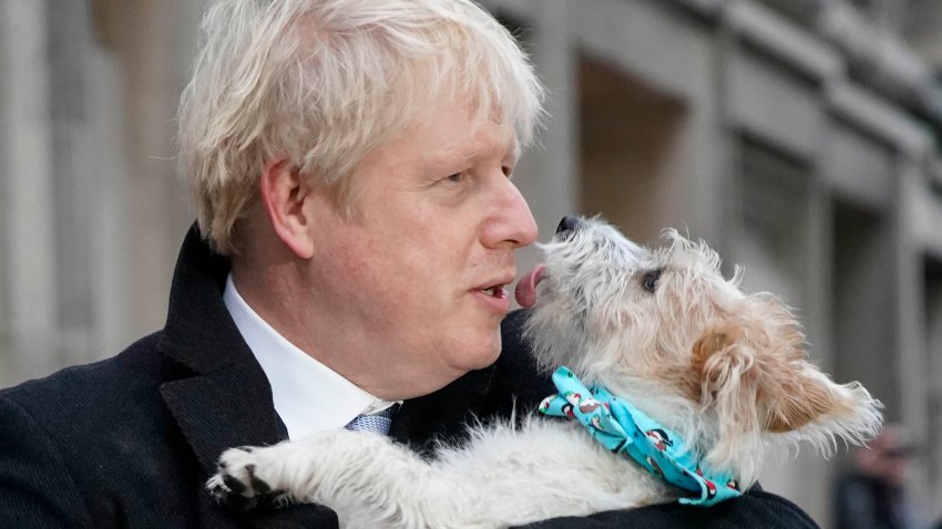 British Prime Minister Boris Johnson poses outside Methodist Hall polling station with dog Dilyn after casting his vote in the general election on Dec. 12, 2019 in London, England. Johnson called the first UK winter election in nearly a century to break the parliamentary deadlock over Brexit.