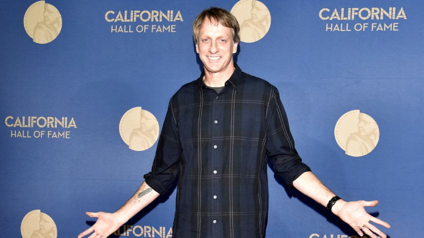 tony hawk stands